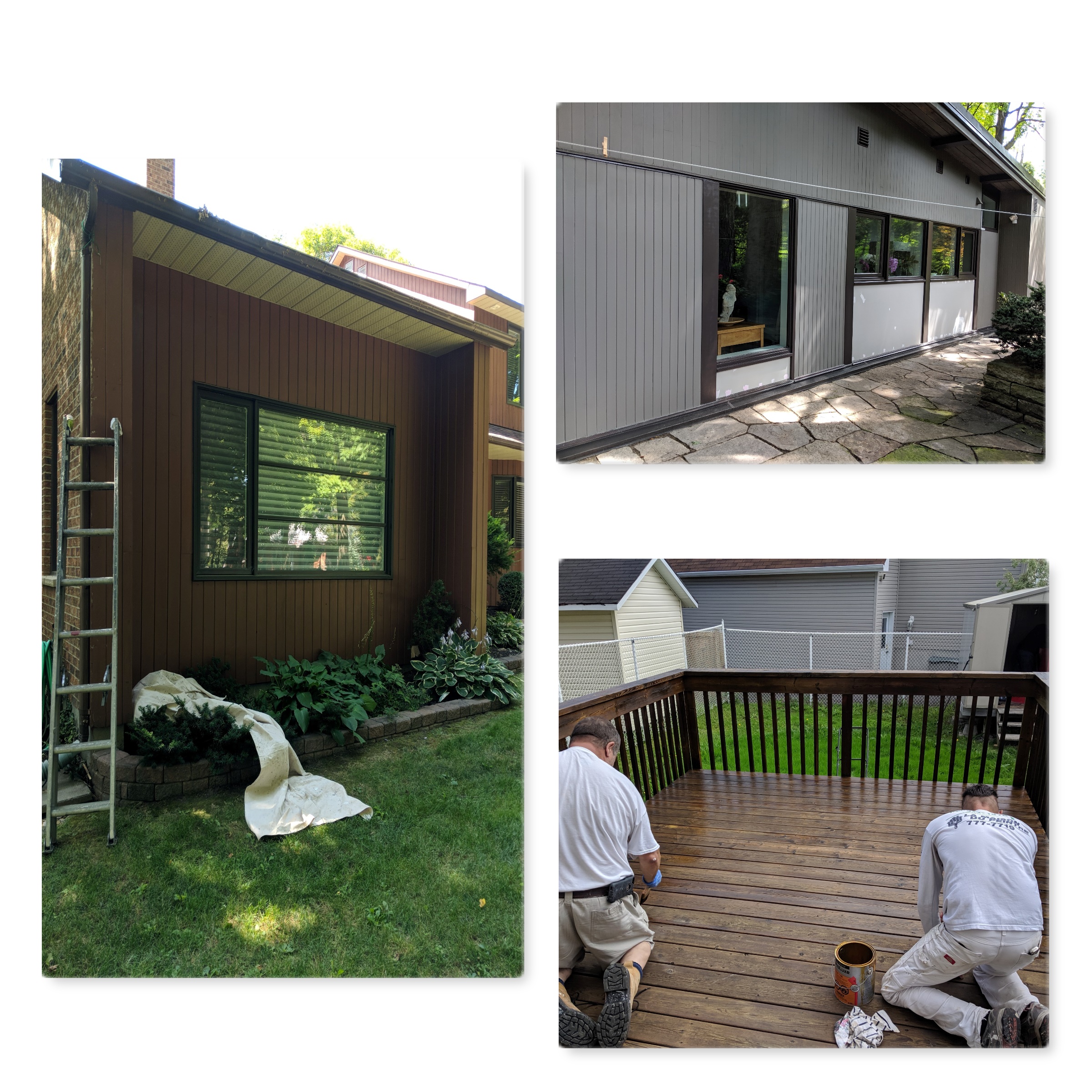 Bella Peinture photo 8